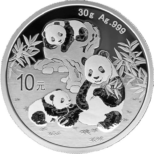 Generisch China Panda 30 Gramm Silbermünze 2025, 30 Gramm 999/1000 Feinsilber in Münzkapsel