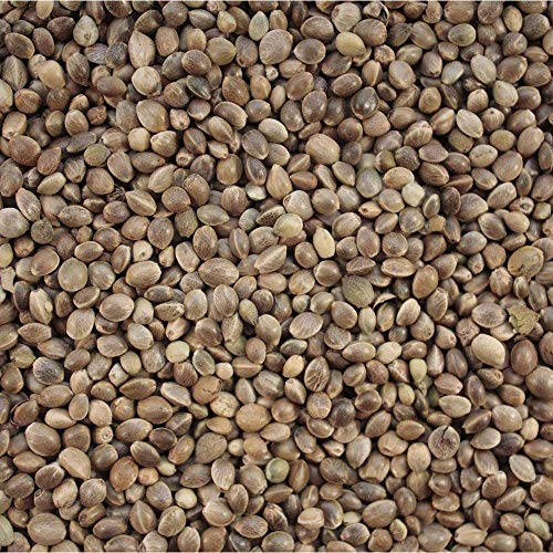Versele Laga Hanfsamen 20 kg