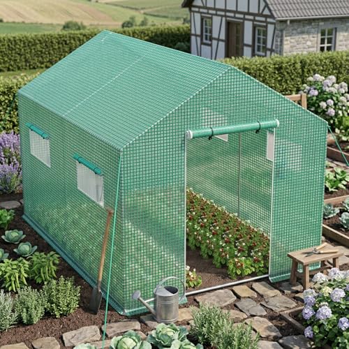 Froadp Gewächshaus Begehbar 3x2x2m, Foliengewächshaus Garten mit Verzinktem Stahlrahmen, UV-beständige PE Folie, Tomatenhaus mit Fenstern & Tür, Pflanzengewächshaus für Gemüse, Tomaten & Blumen