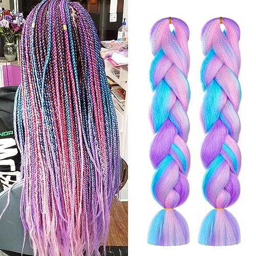 Aomig Braids Extensions, 2PC 4 Farben Kunsthaar zum Einflechten,24