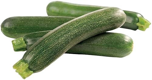 Bio Zucchini, 200 - 400 g