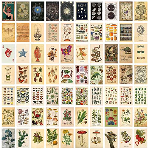TYFYH 70 Stück Vintage Botanical Wall Collage Kit Aesthetic Wandcollagen Set Indie Room Décor Vintage Wall Collage Kit für Wohnheim-Dekor, Wandkunstdrucke, Ästhetische Foto-Display