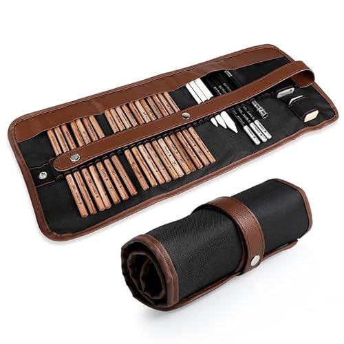 Coolzon Zeichenstifte, 29-teiliges Künstler-Set mit Skizzenstiften, Kohlebleistiften, Graphitstiften, Radiergummi, Extender in einem Etui