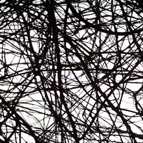 all my friends are hooked on afterpay