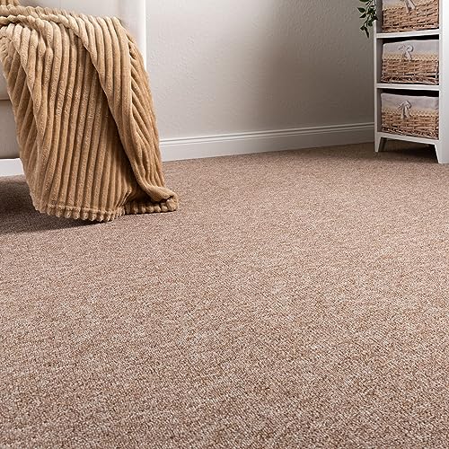 Steffensmeier Schlingen Teppichboden Meddon XL Meterware | Auslegware für Flur Büro | 1m 2m 3m 4m 5m breit! | Beige, Größe: 200x400 cm