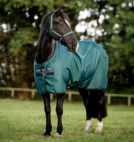 Horseware Amigo Ripstop 900D 50g Turnout Weide Decke Dynasty Green/Navy & Silver, Deckengröße:145 cm / 6´6