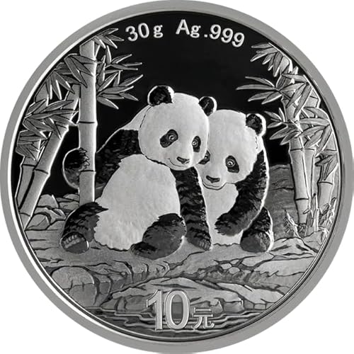 Generisch China Panda 30 Gramm Silbermünze 2026, 30 Gramm 999/1000 Feinsilber in Münzkapsel