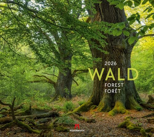 Wald Kalender 2026 | Hochwertiger Natur-Kalender im großen Querformat (54x48 cm) | Bäume und Pflanzenwelt im Wandel der Jahreszeiten