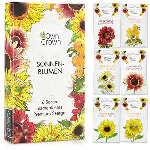 Sonnenblumen Samen Set – Saatgut mit 6 Sorten, inkl. Riesige & Kleine Blüten – Blumen Geschenkbox mit Blumensaat von OwnGrown