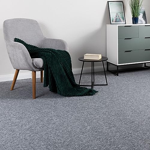 Steffensmeier Schlingen Teppichboden Meddon XL Meterware | Auslegware für Flur Büro | 1m 2m 3m 4m 5m breit! | Grau, Größe: 200x300 cm