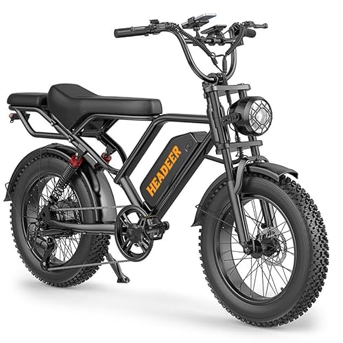 BK20 Elektrofahrrad für Erwachsene, 20 x 4,0 Zoll Breite Reifen