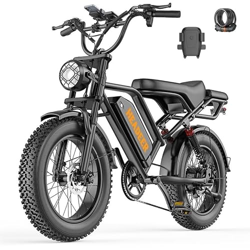BK20 Elektrofahrrad für Erwachsene, 20 x 4,0 Zoll Breite Reifen