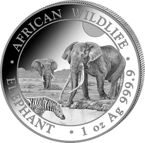 Generisch Somalia Elefant 1 Unze Silbermünze 2026, Feinsilber 999/1000, in Münzkapsel, 31,1 Gramm