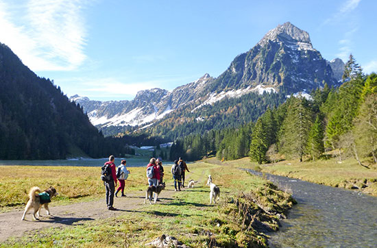 Husky-Trekking am Walensee