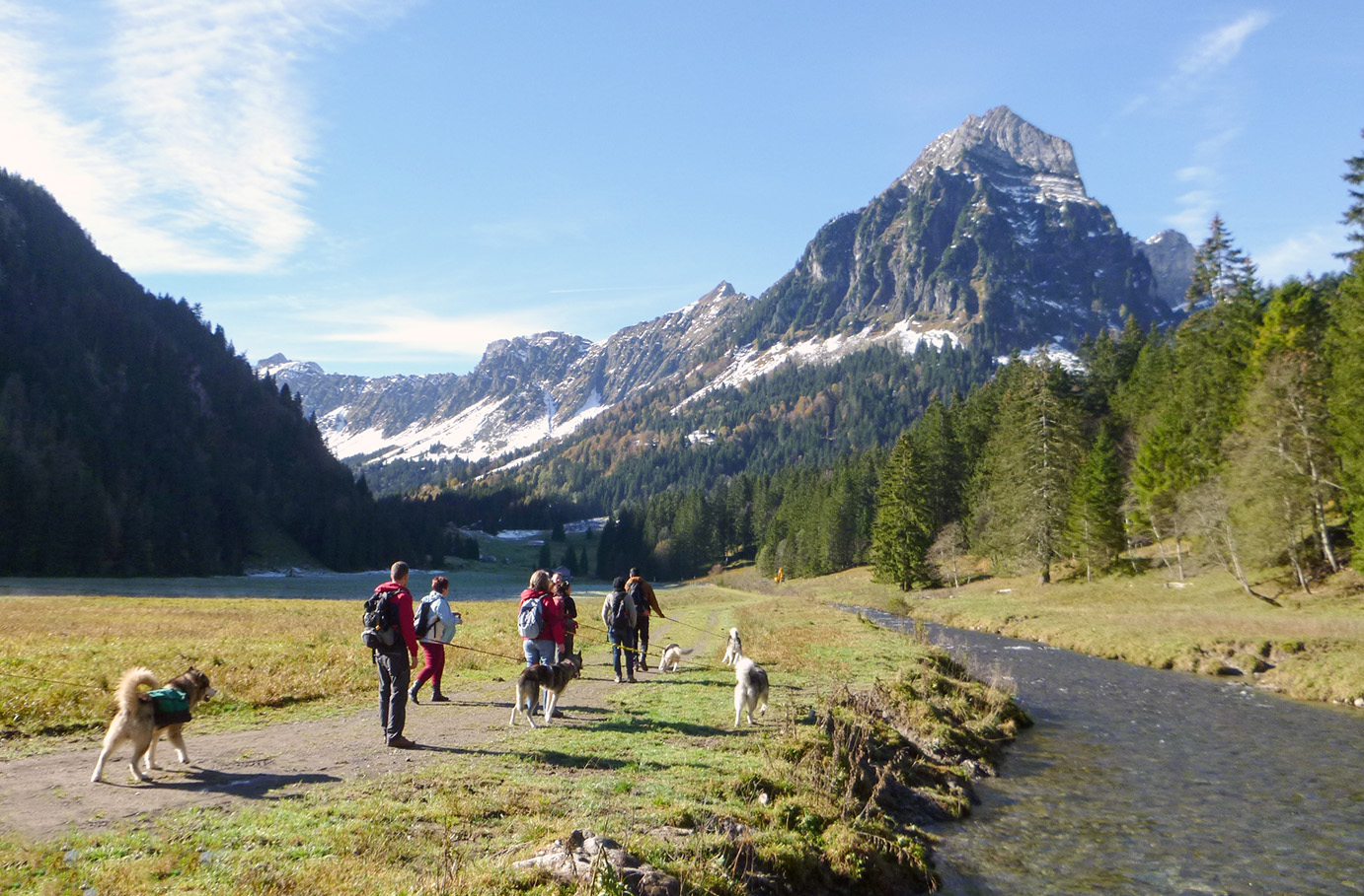 Husky-Trekking am Walensee