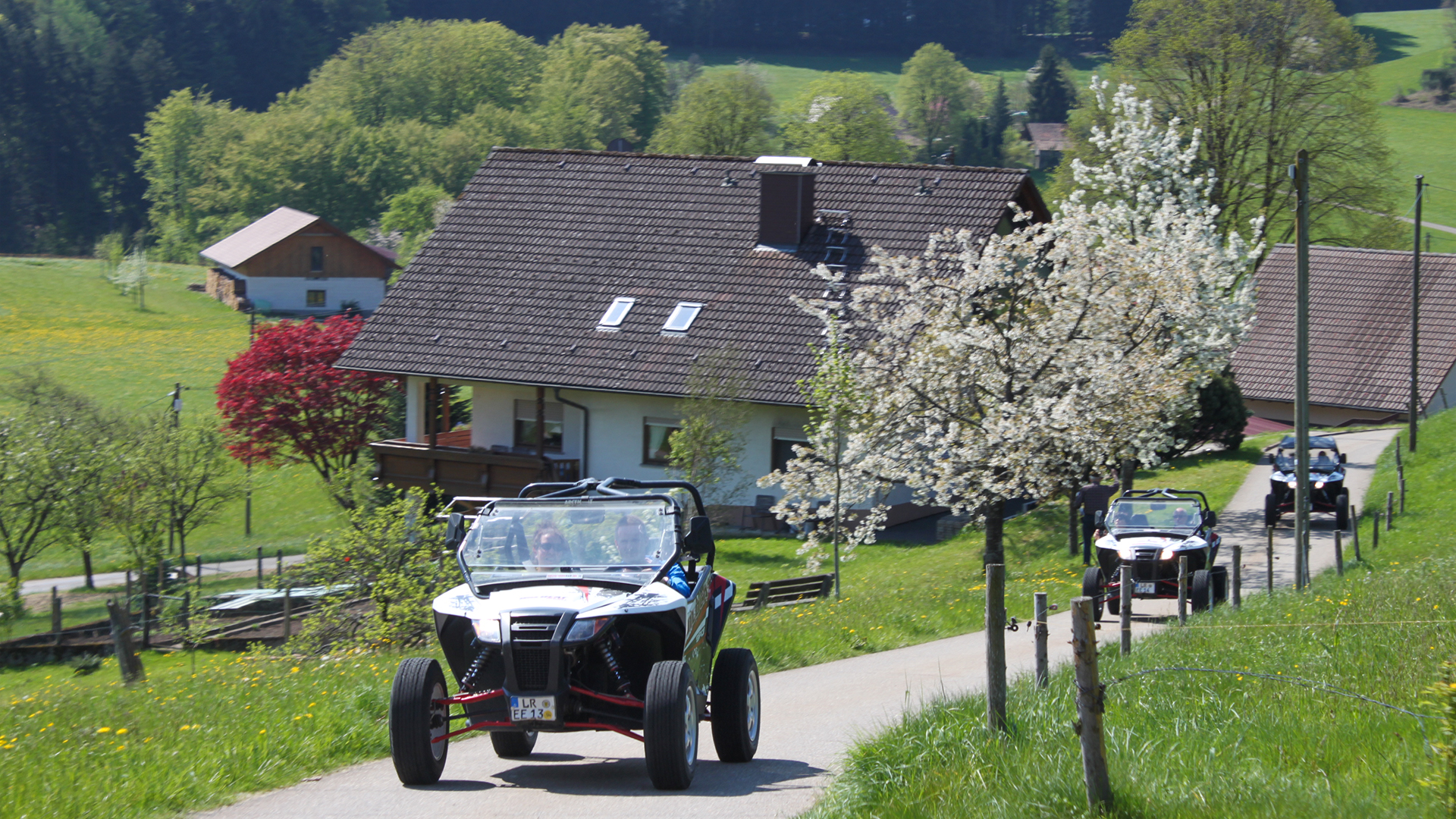 Side by Side Buggy Schwarzwald-Tour Meißenheim (5 Std.)