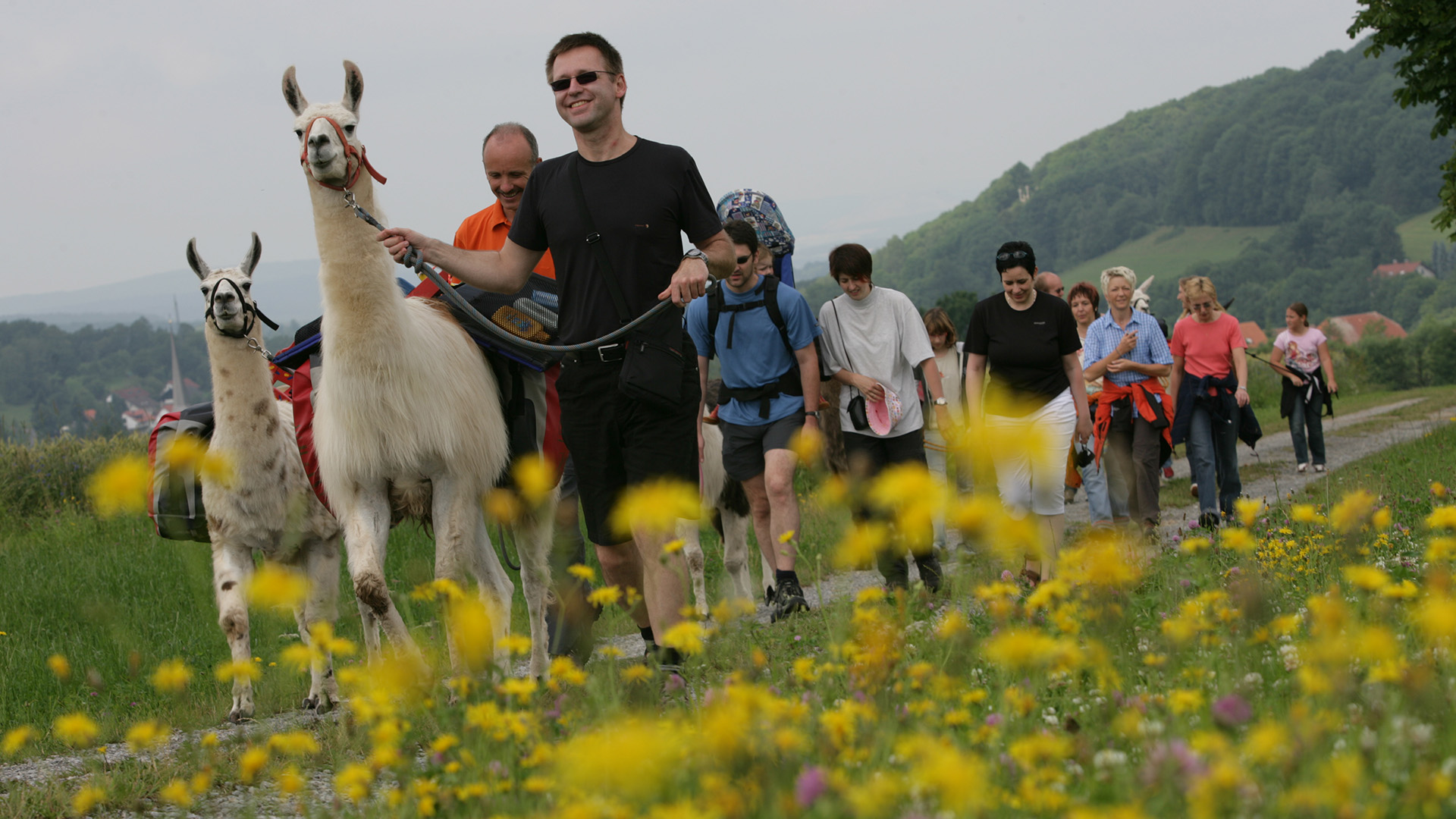 Lama Trekking Poppenhausen für 2