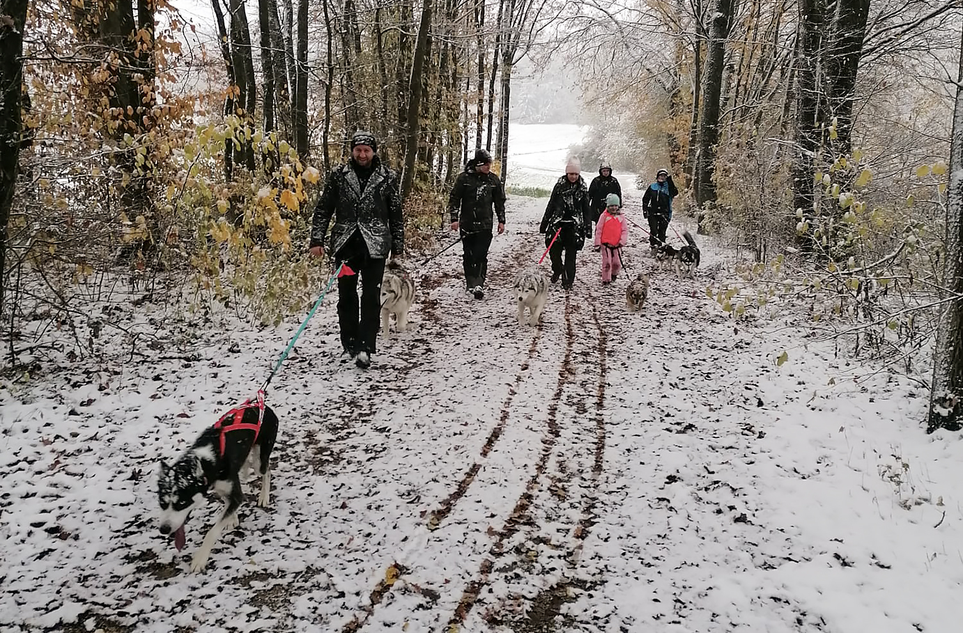 Husky Trekking Neumarkt in der Oberpfalz