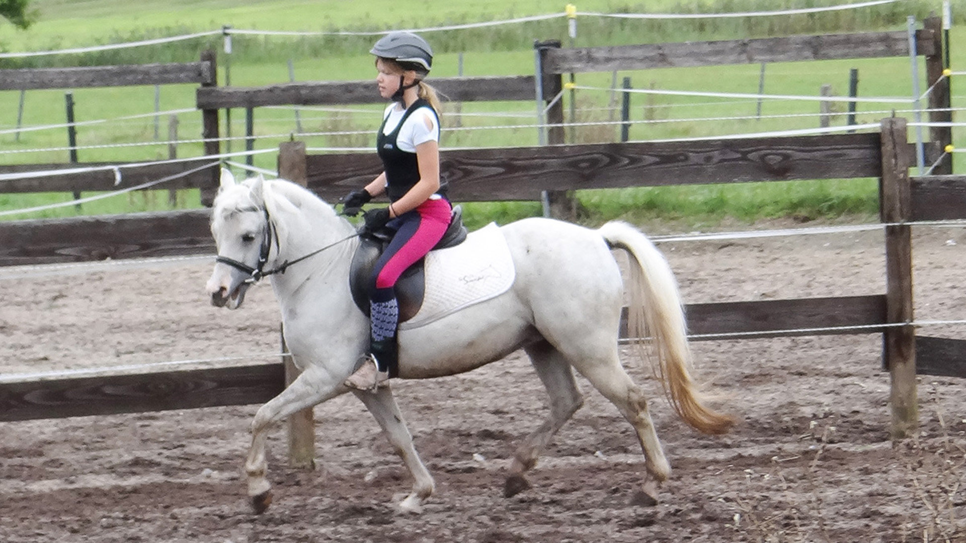 Reiten Schnupperkurs Diebach