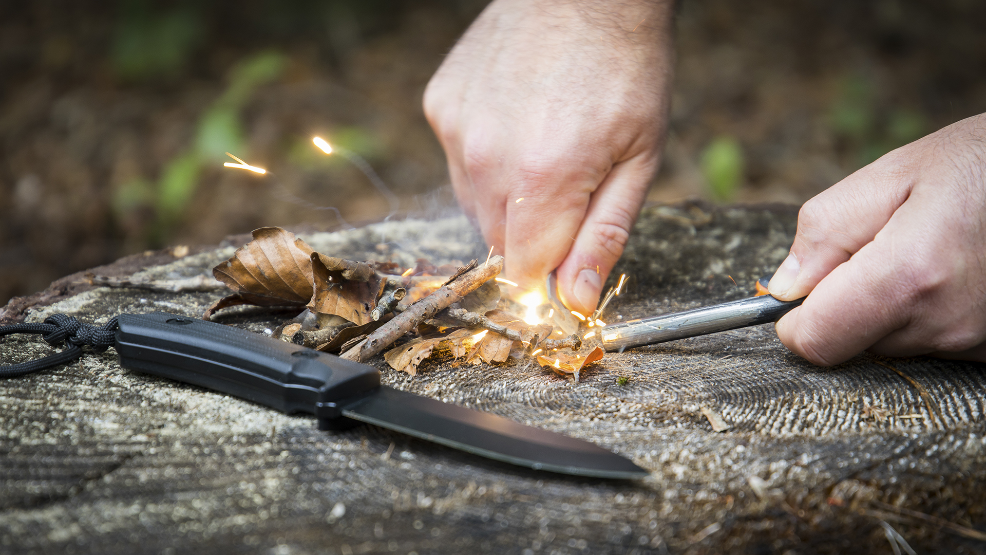 Survival Tag Hannover