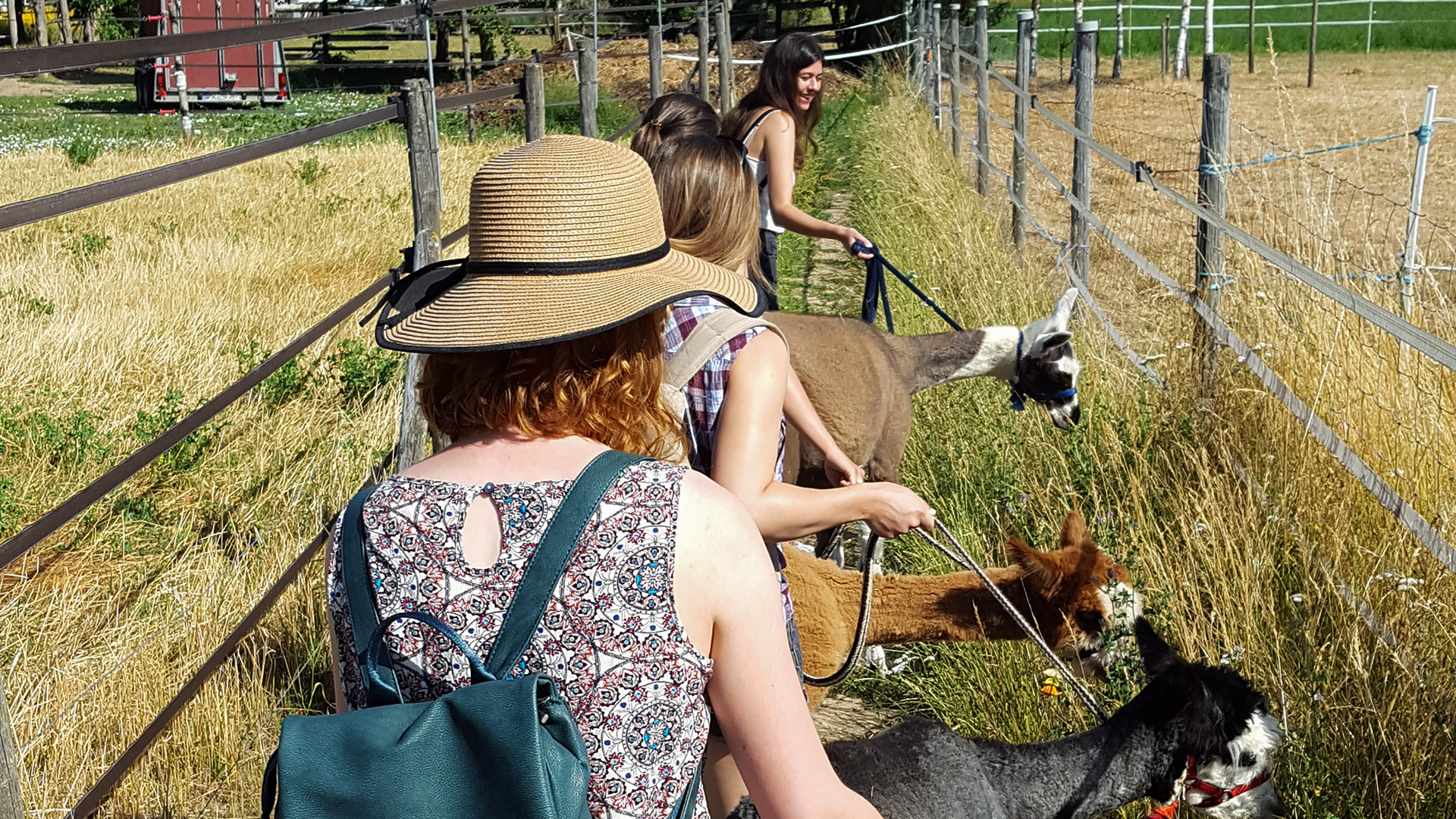 Lama- & Esel-Trekking-Tour Stadecken-Elsheim