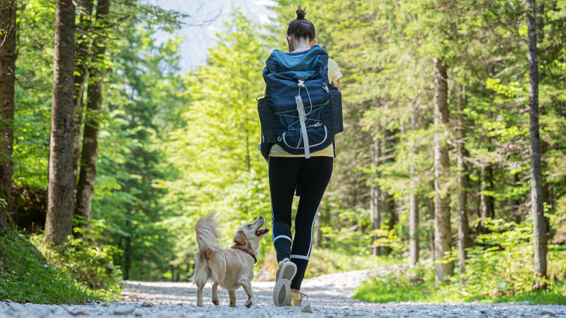 Urlaub mit Hund im Harz für 2 (1 Nacht)