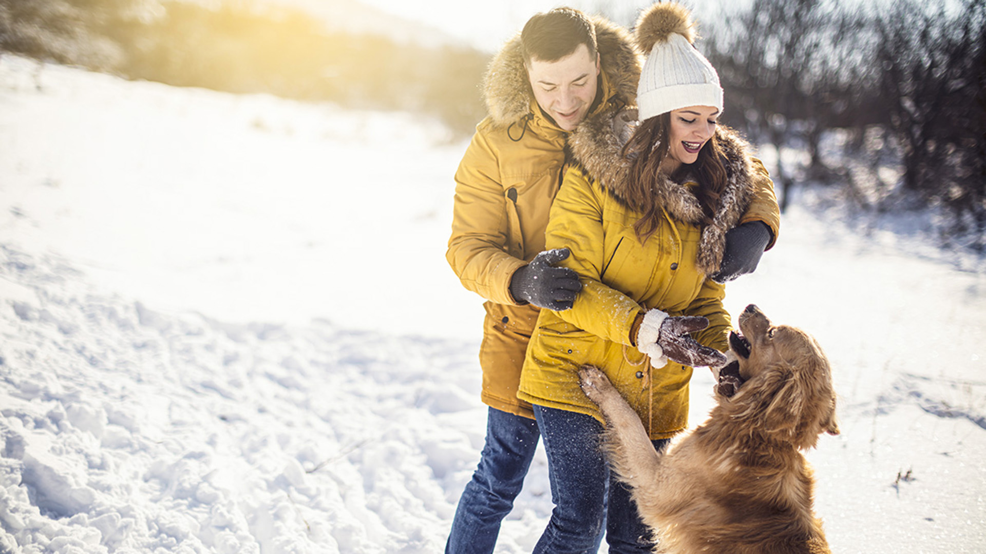 Winterurlaub mit Hund auf Sylt für 2 (1 Nacht)