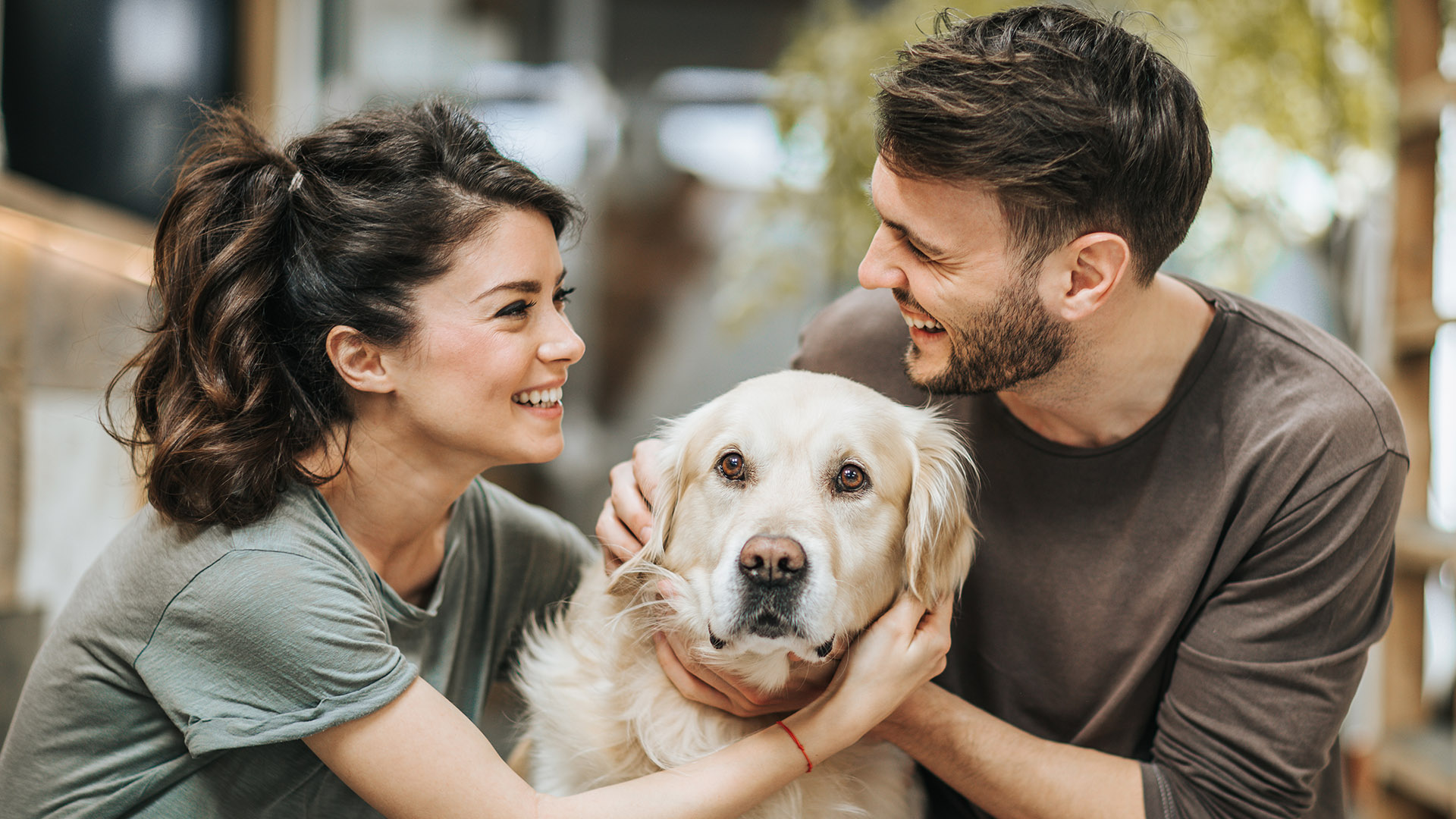 Urlaub mit Hund im Bayerischen Wald für 2 (2 Nächte)