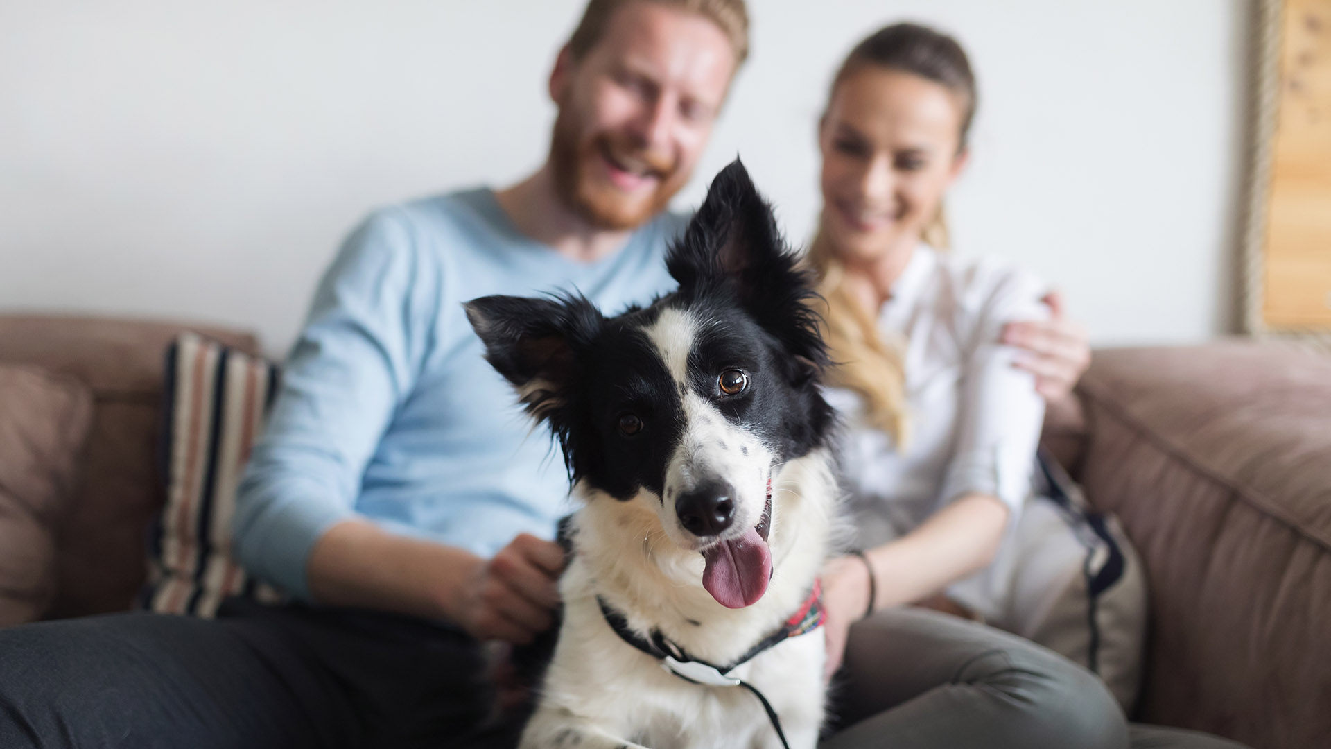 Urlaub in einer Ferienwohnung mit Hund für 2 (2 Nächte) - St. Oswald