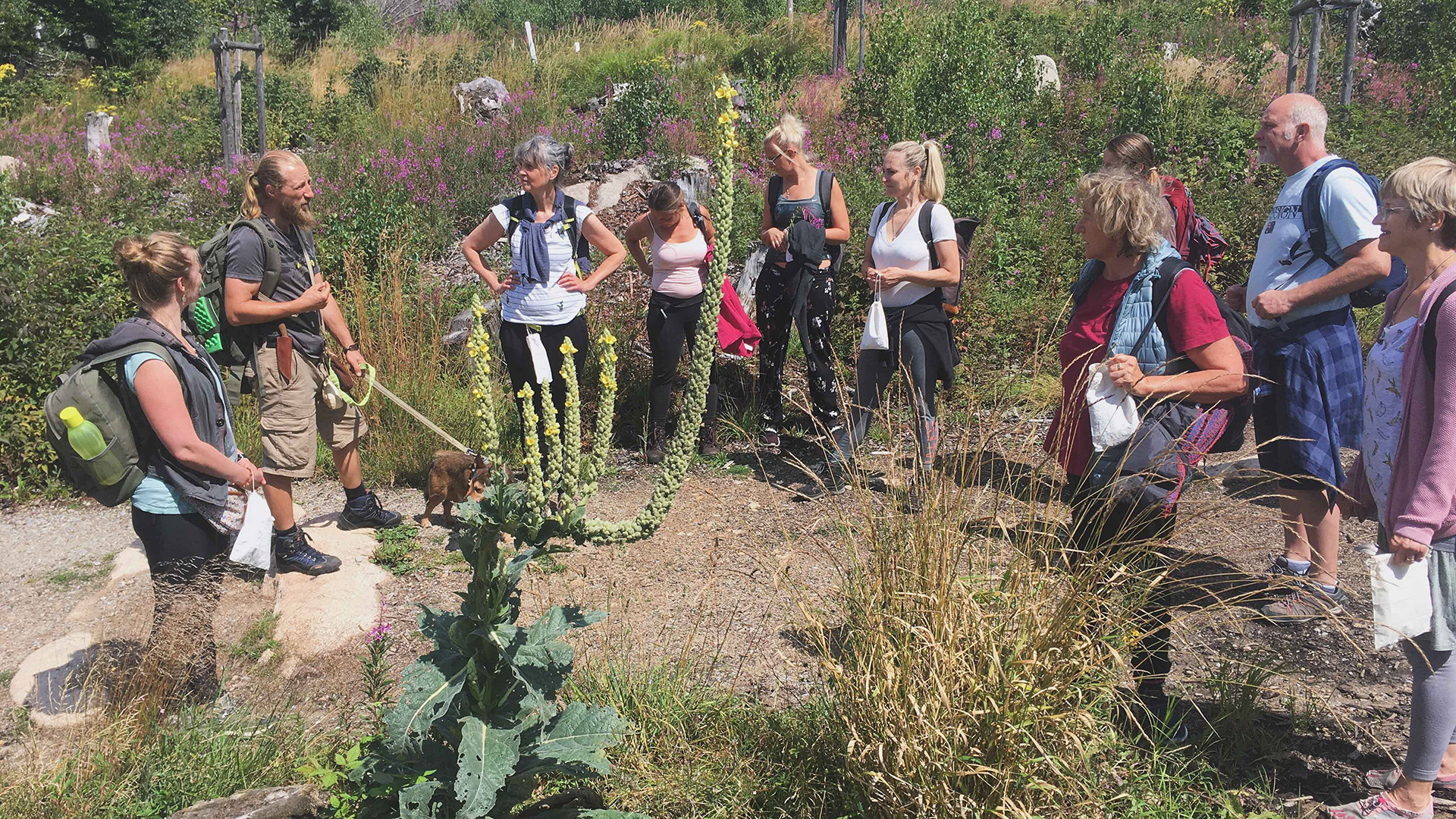 Survival-Tag mit Kakaozeremonie Schierke