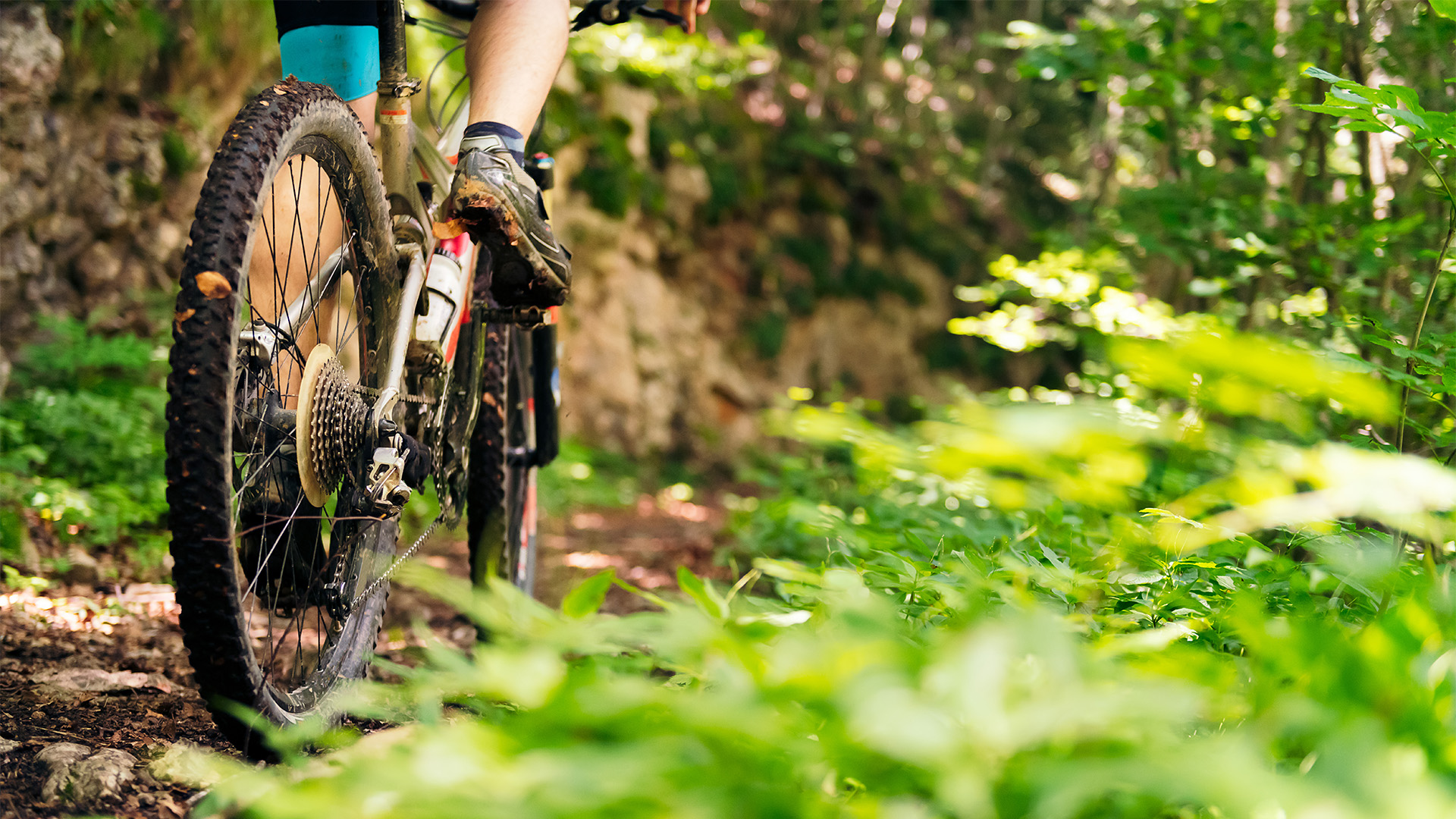 Mountainbike Kurs Kreuth (Basis-Kompakt)