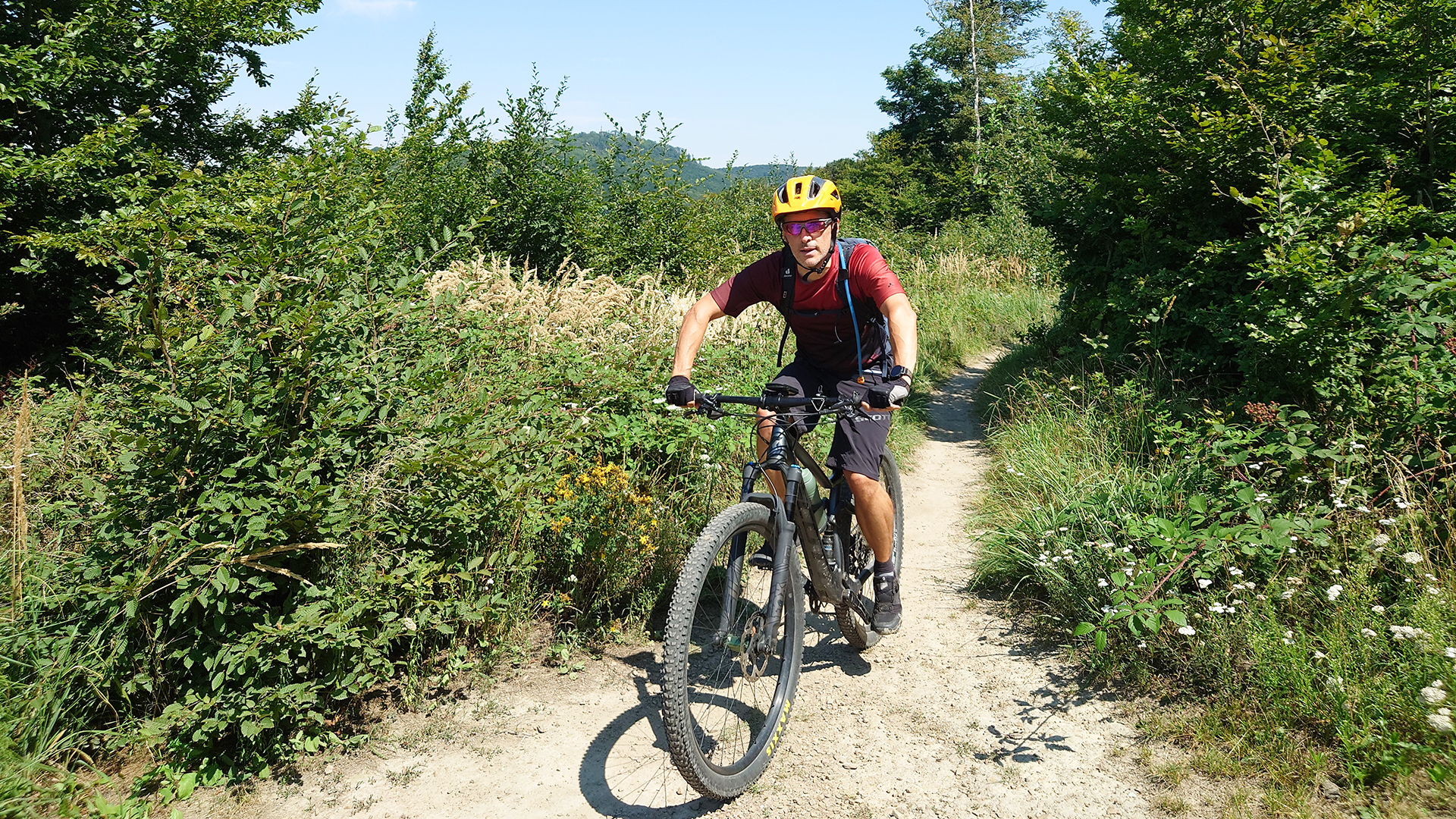 E-Mountainbike Tagestour Wien