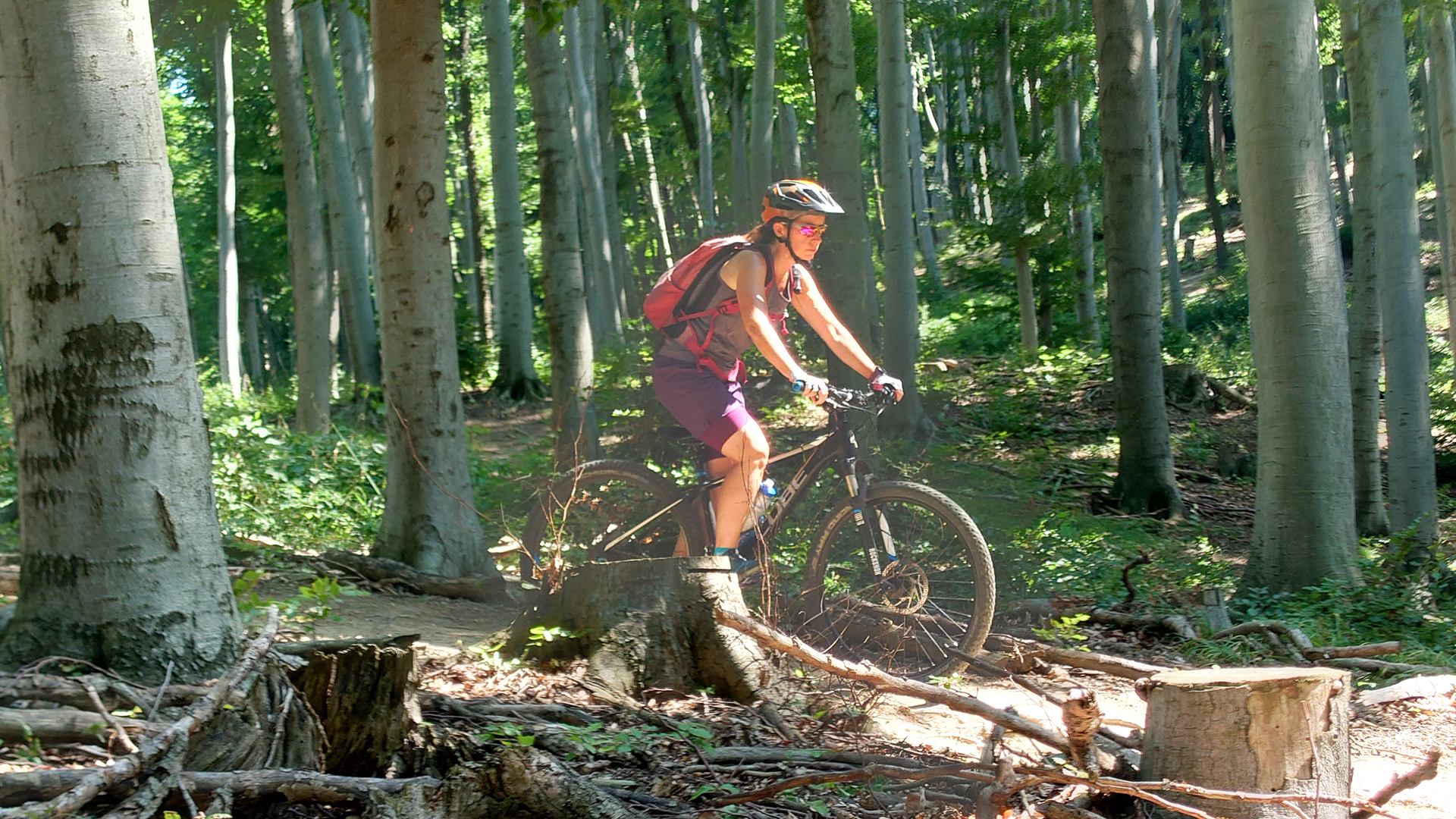 E-Mountainbike Tagestour Wien