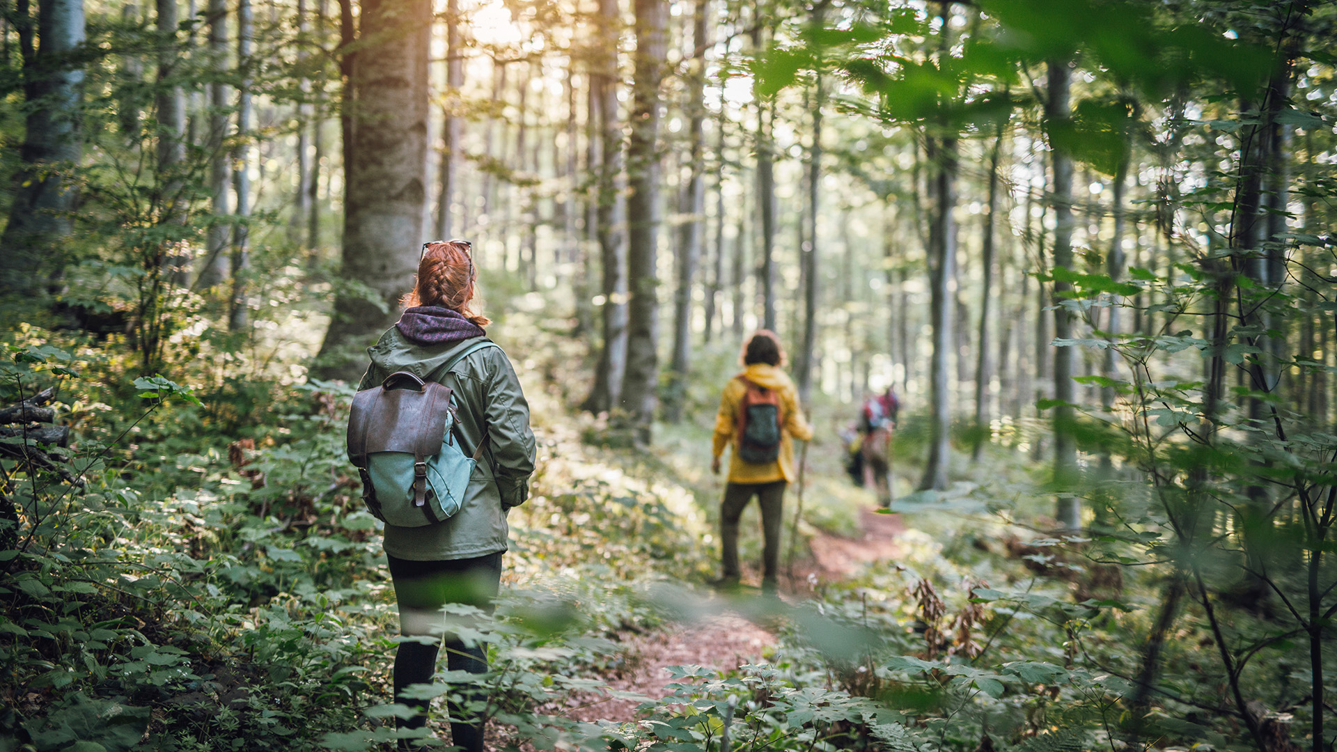 Survival-Intensivkurs Ferdinandshof (3 Tage)