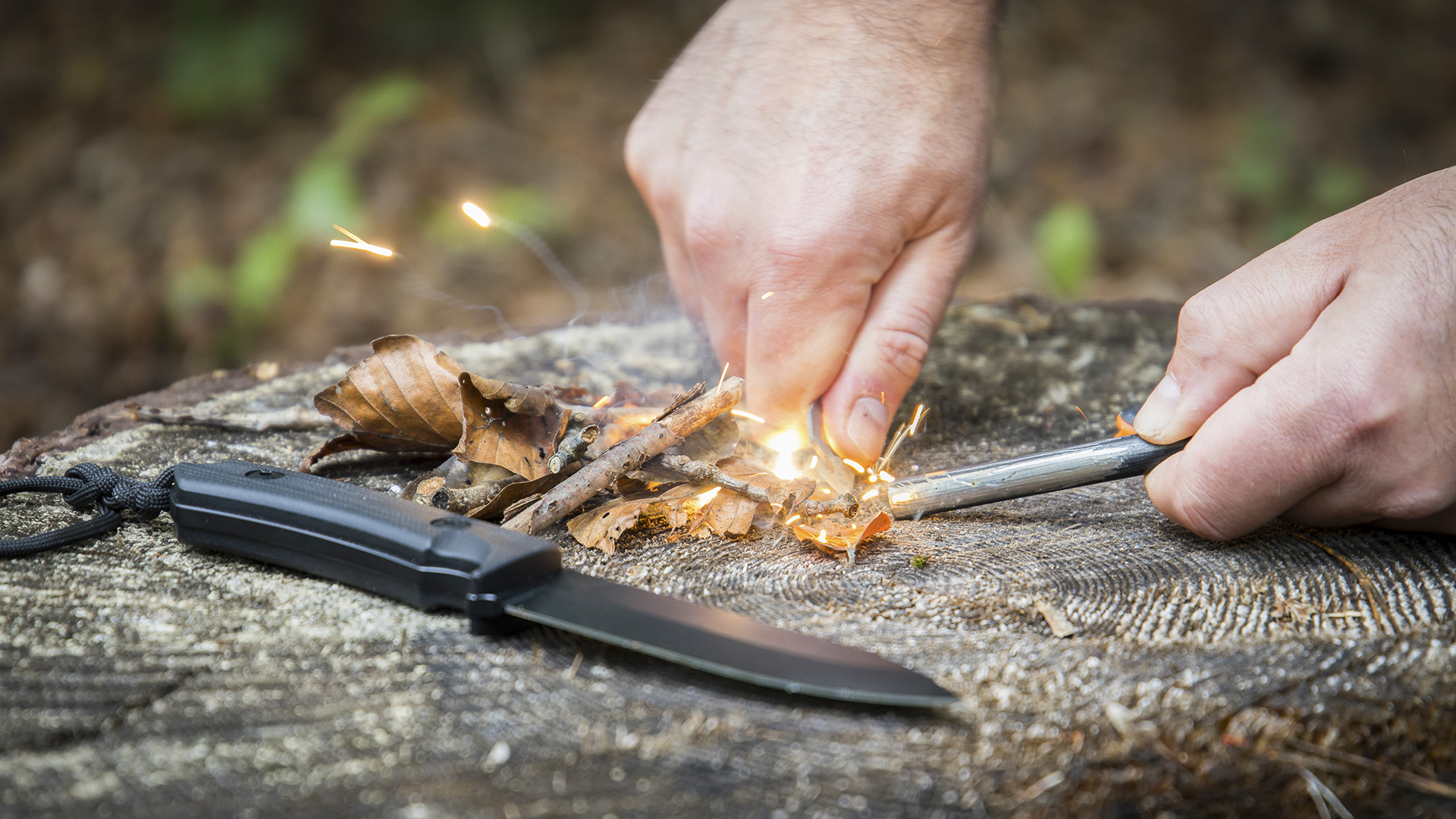 Survival Kurs Dettmannsdorf (Feuer und Schutz)