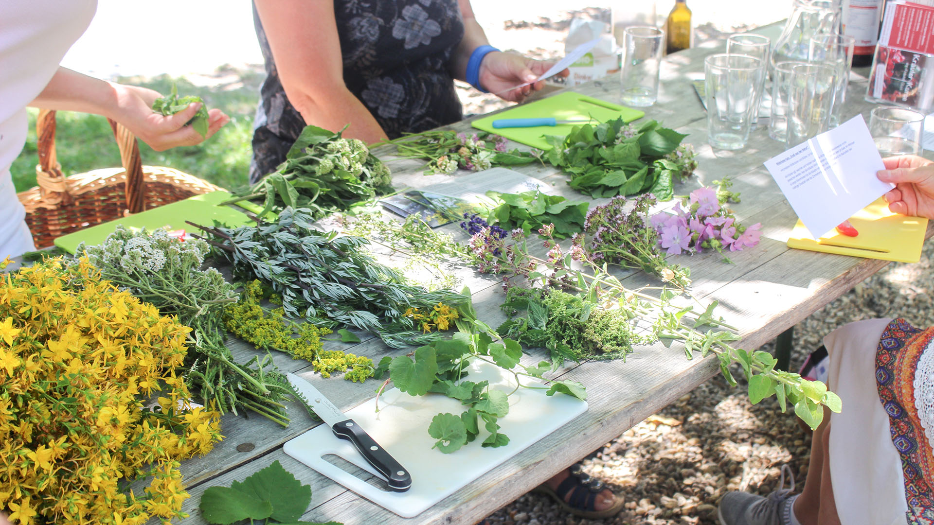 Hildegard von Bingen Medizin Wegberg