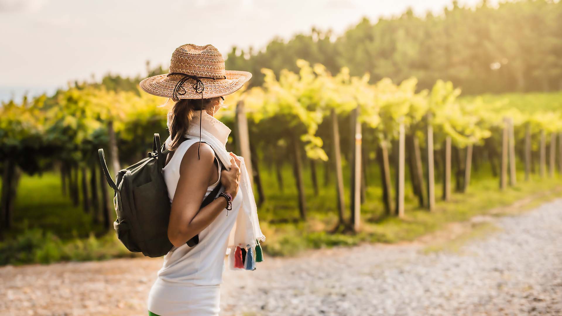 Weinwanderung mit Verkostung Reil