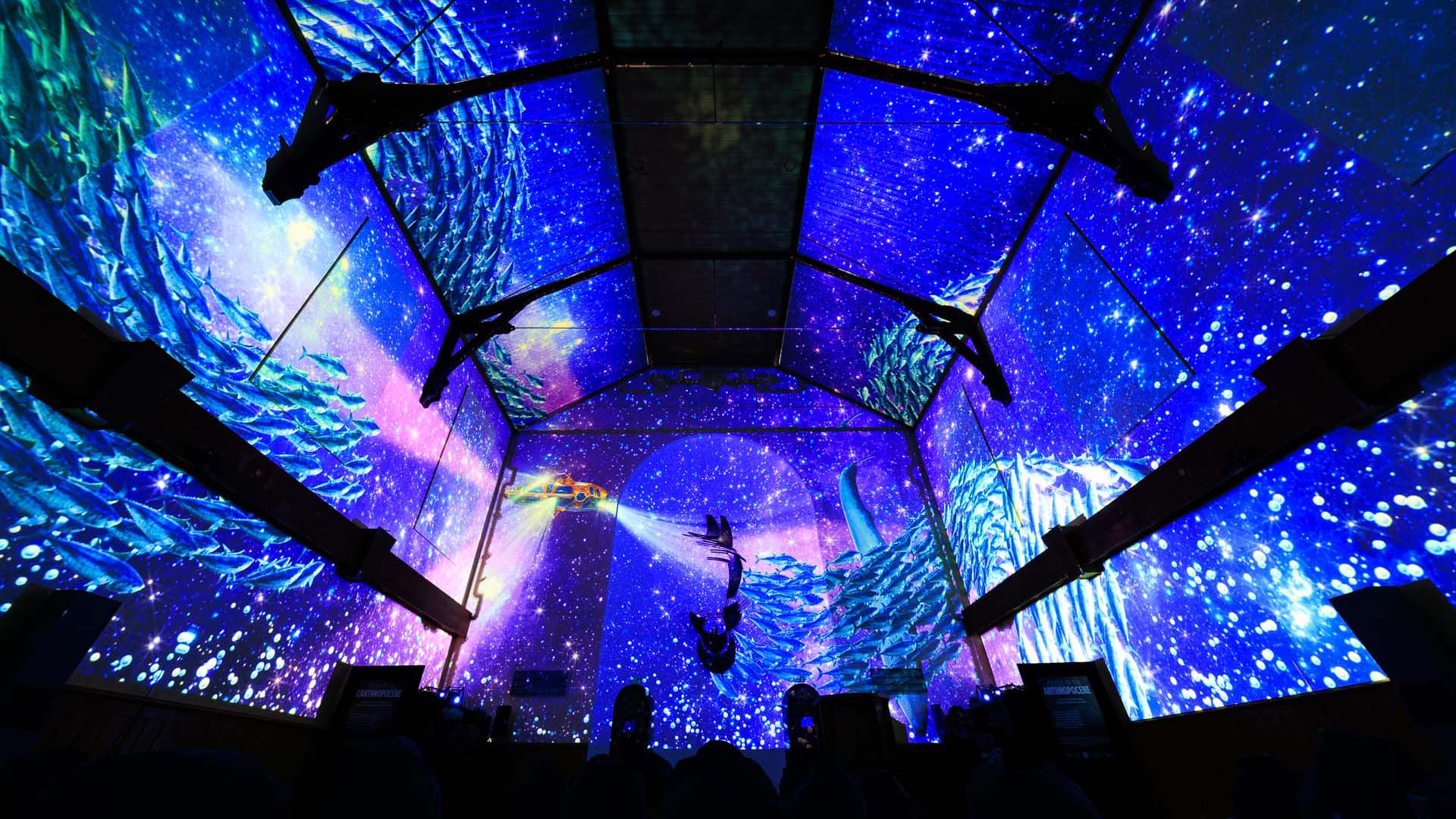 Immersive Show Heidelberg (Pixel Zoo)