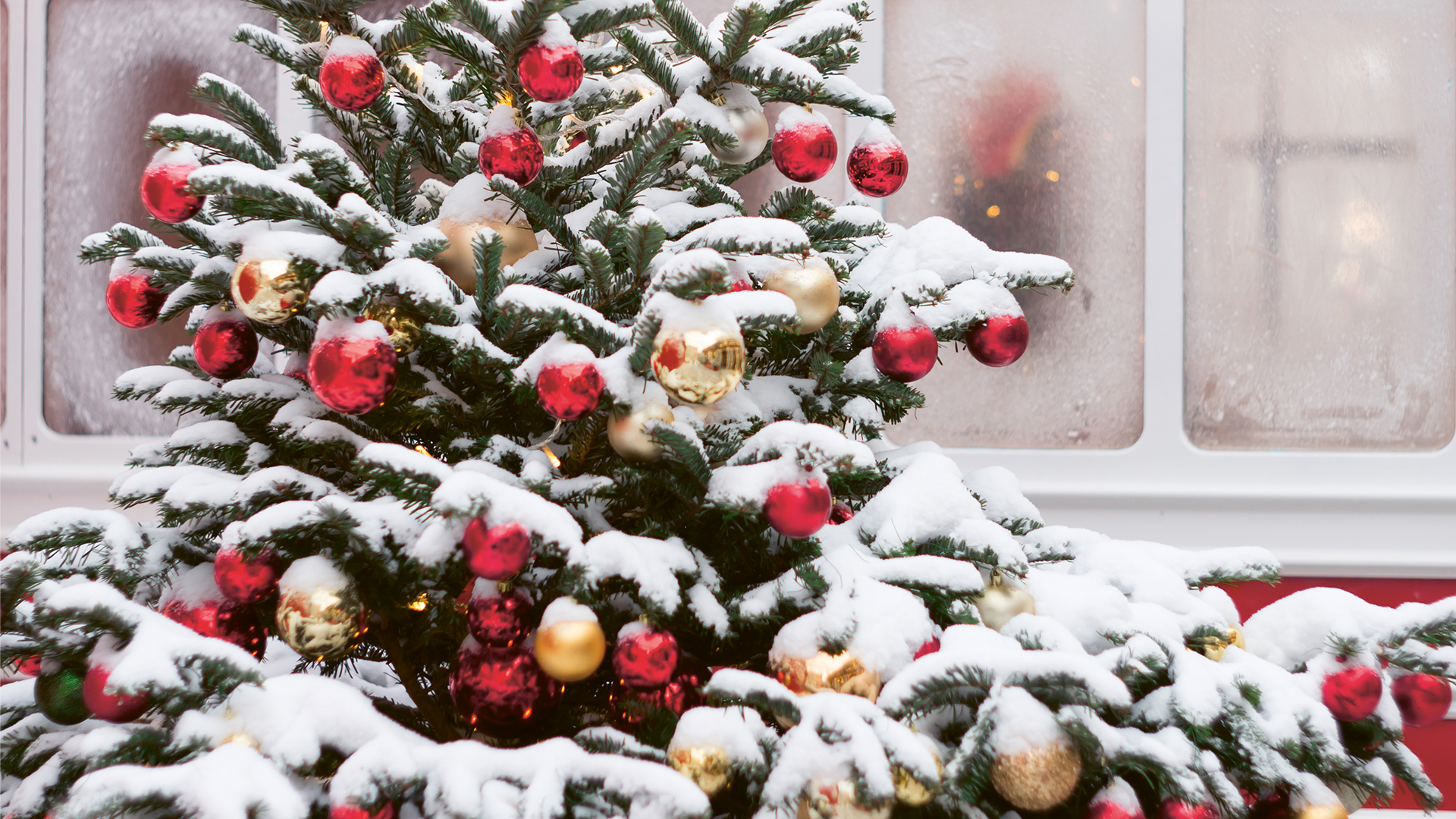 Weihnachten als PDF