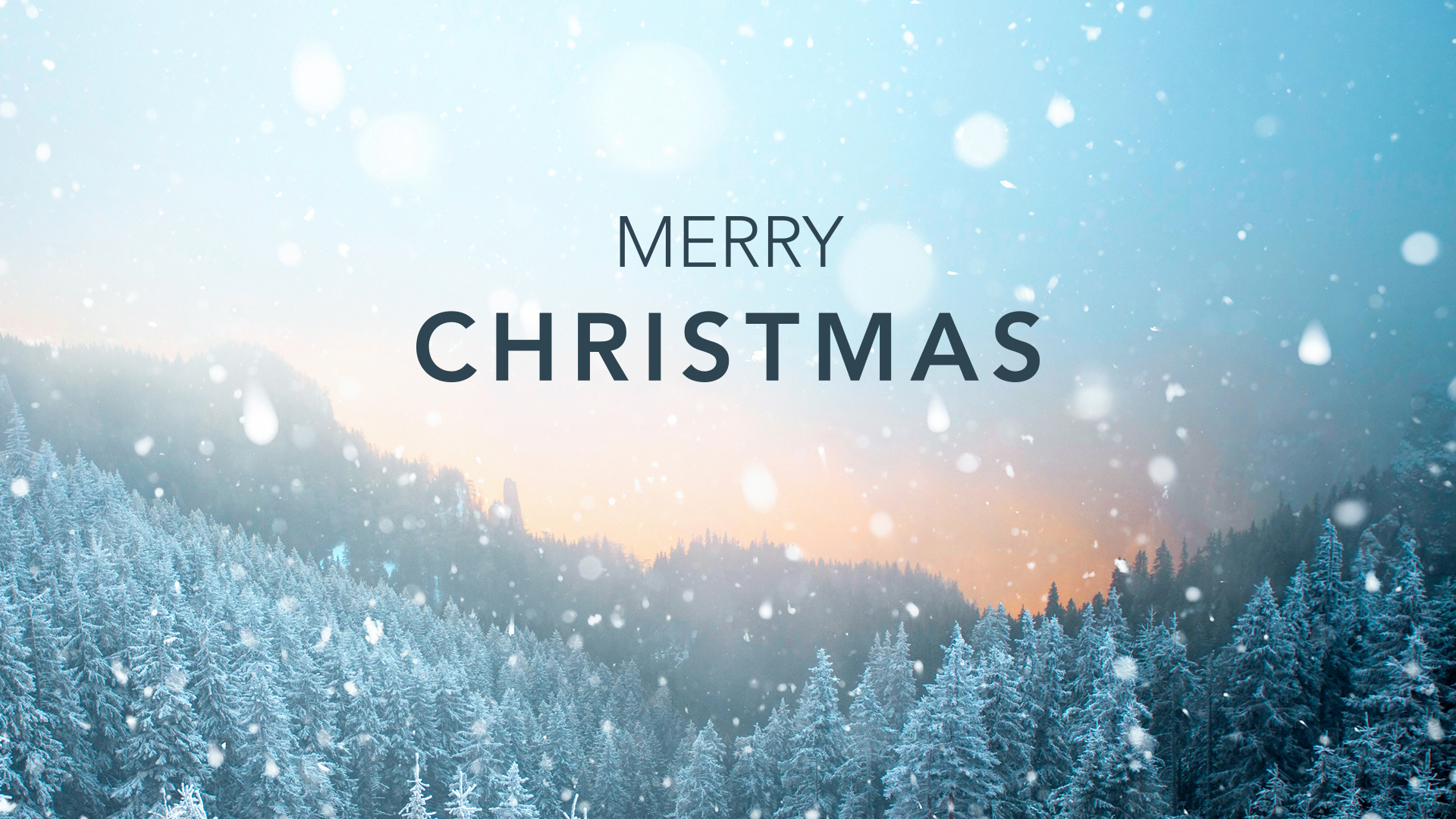 Flexibles Geschenk Tannenbaum