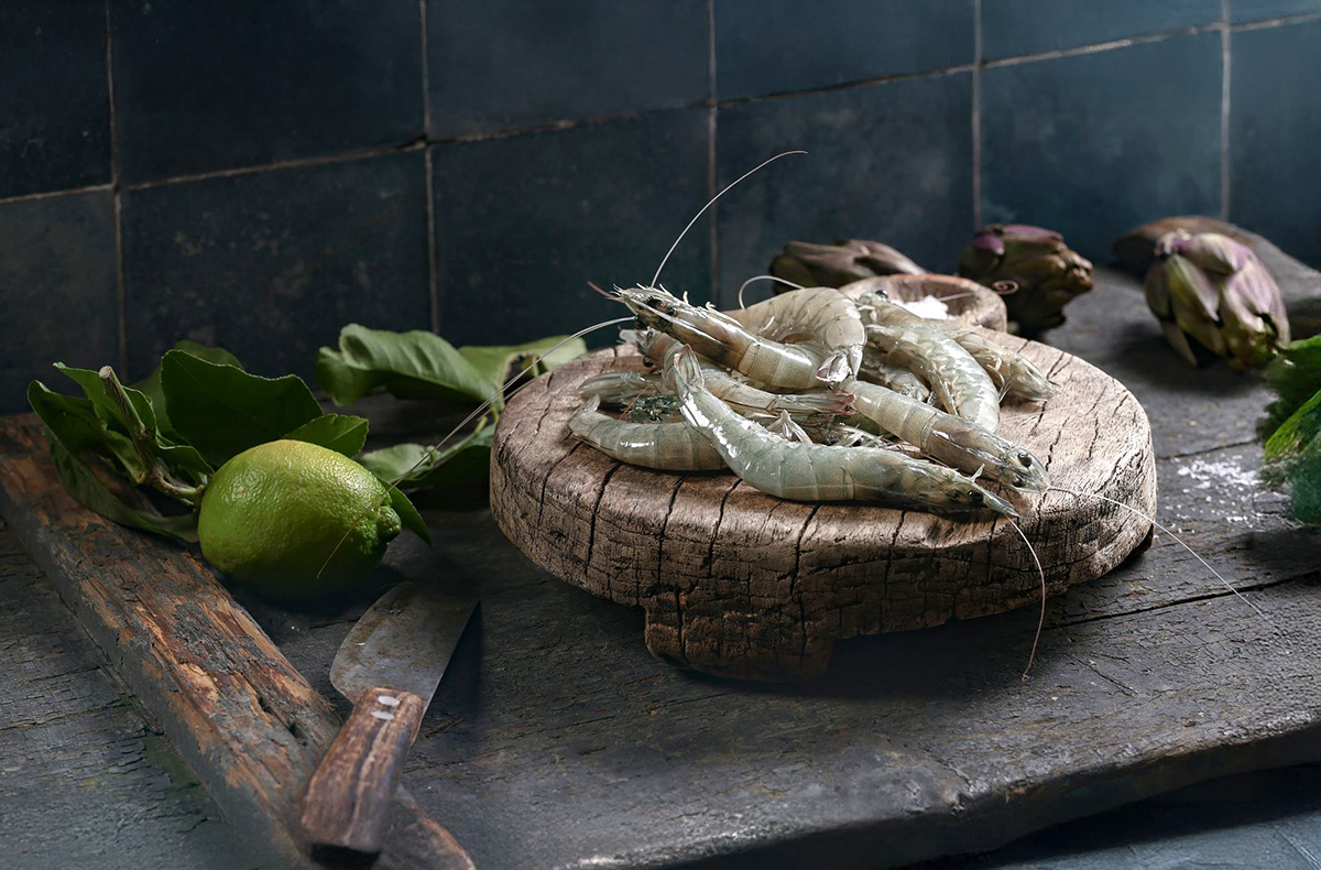 Garnelen Verkostung Glückstadt