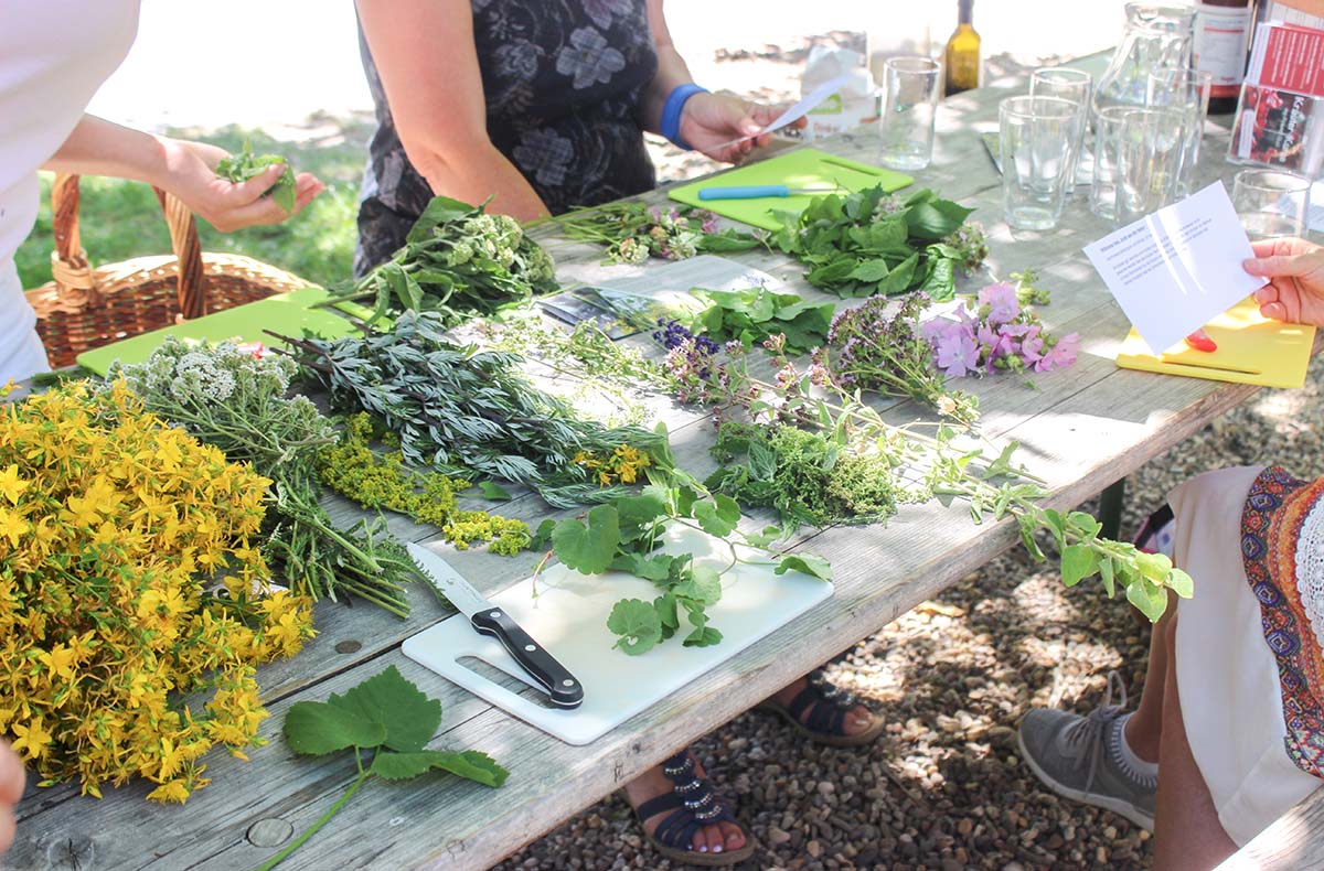 Hildegard von Bingen Medizin Wegberg