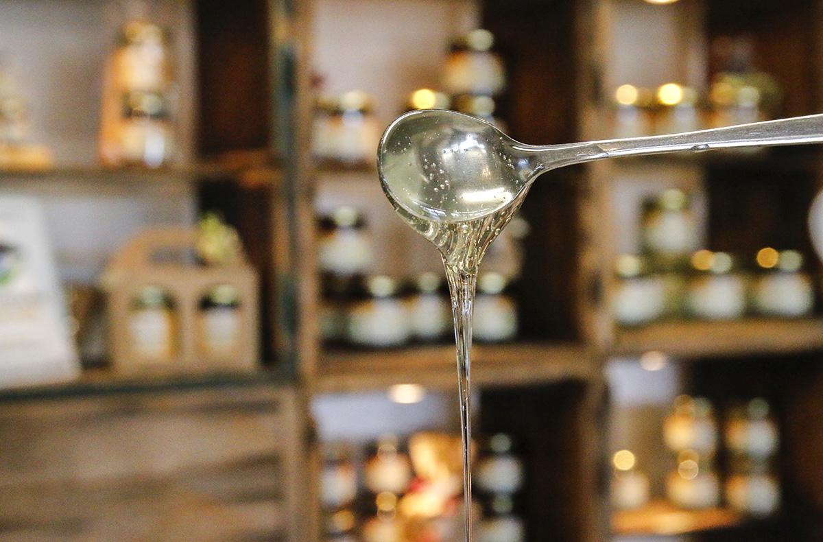 Honig Verkostung Bühl