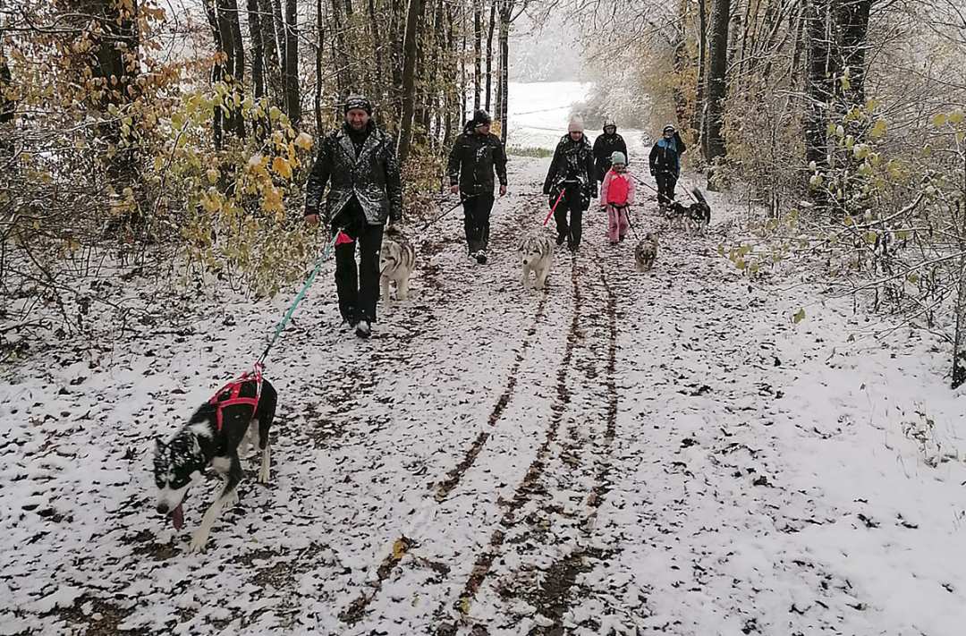 Husky Trekking Neumarkt in der Oberpfalz