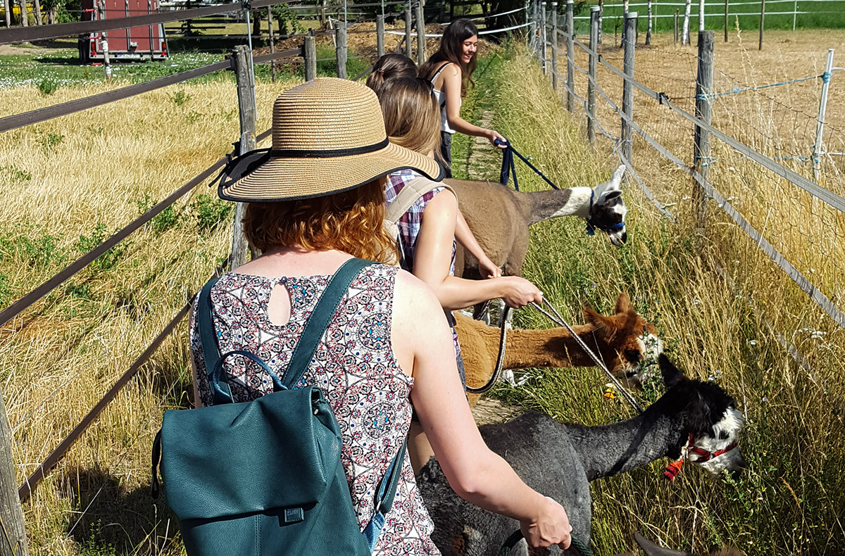 Lama- & Esel-Trekking-Tour Stadecken-Elsheim