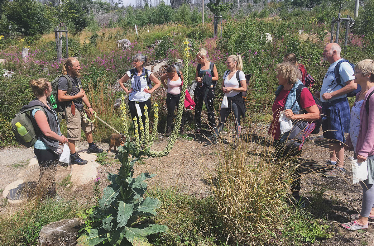 Survival-Tag mit Kakaozeremonie Schierke