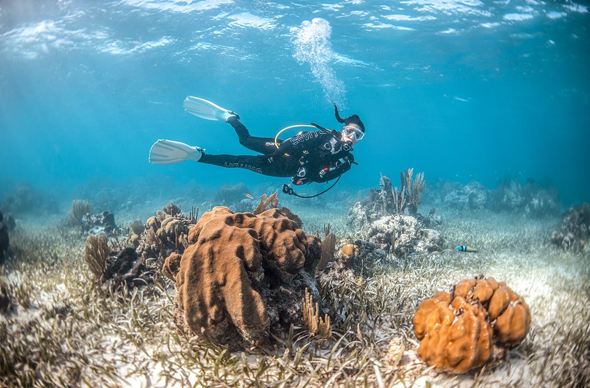 Tauchen mit Nitrox München (Kurs)