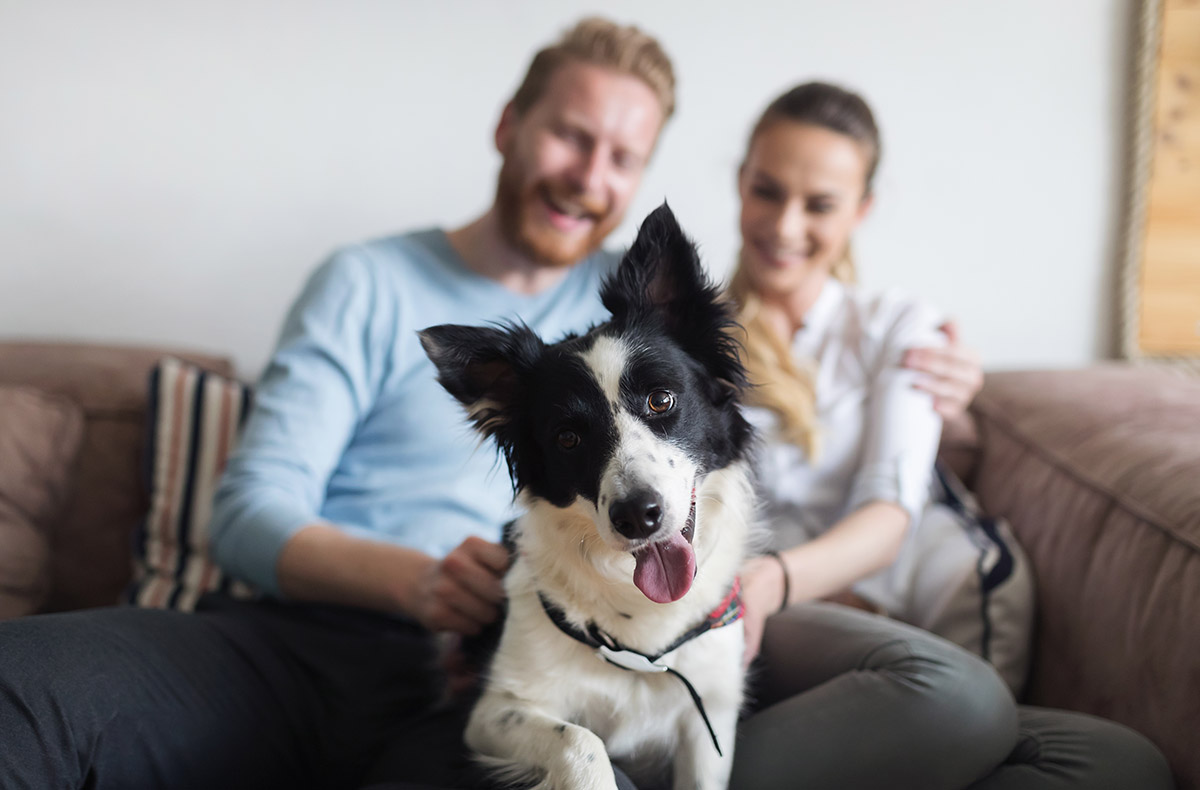 Urlaub in einer Ferienwohnung mit Hund für 2 (2 Nächte) - St. Oswald