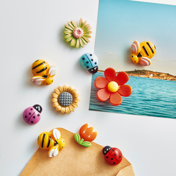 Kühlschrank-Magnete 'Blumenwiese' 10er-Set