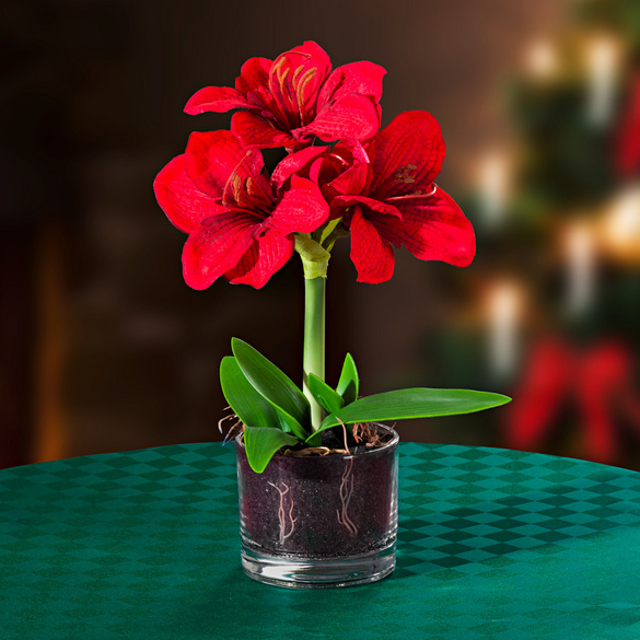 Kunstpflanze Amaryllis im Topf, rot